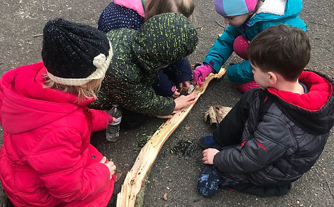 Children gain great confidence exploring nature in our Forest School